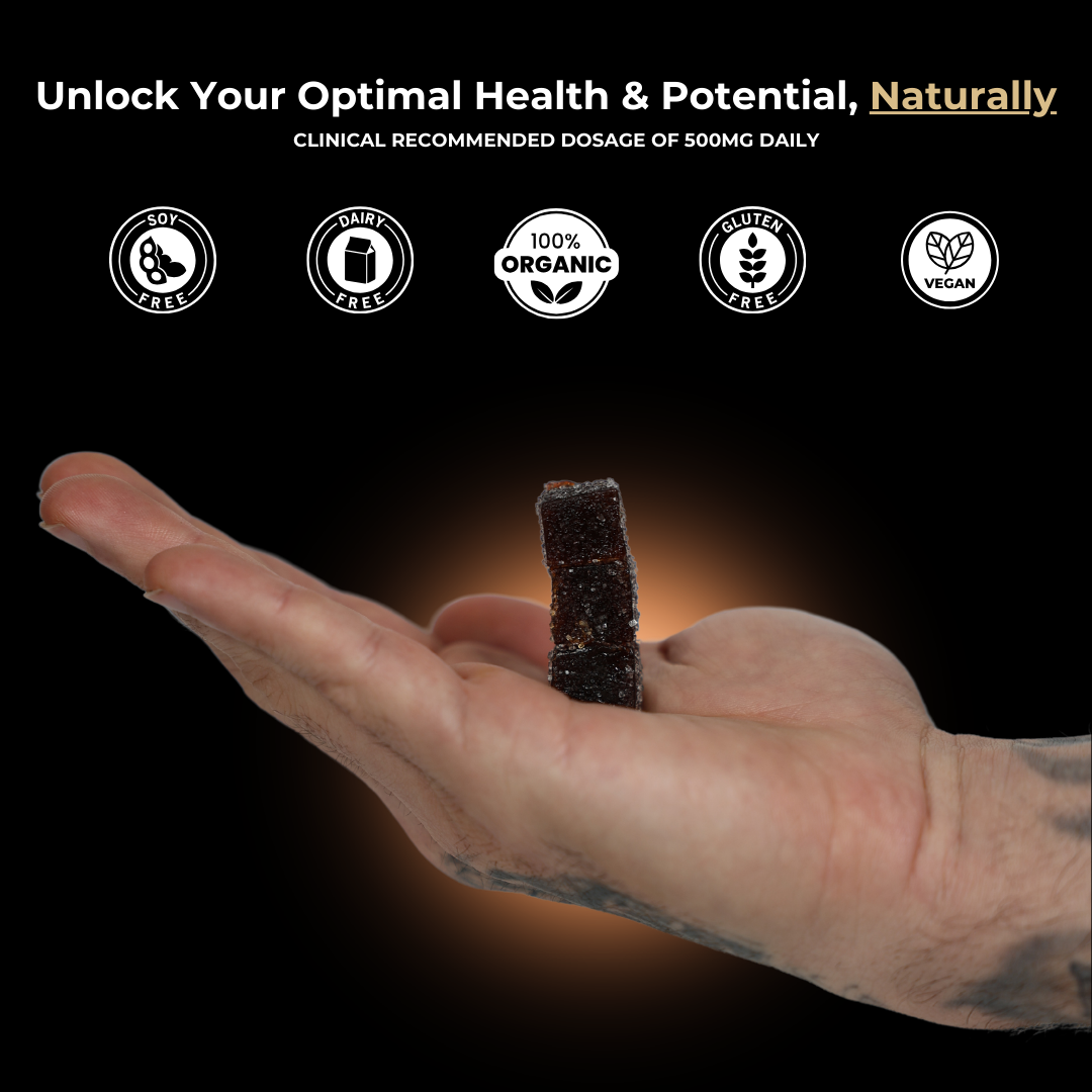 BLACK GOLD™ | Pure Himalayan Shilajit Vitality Gummies